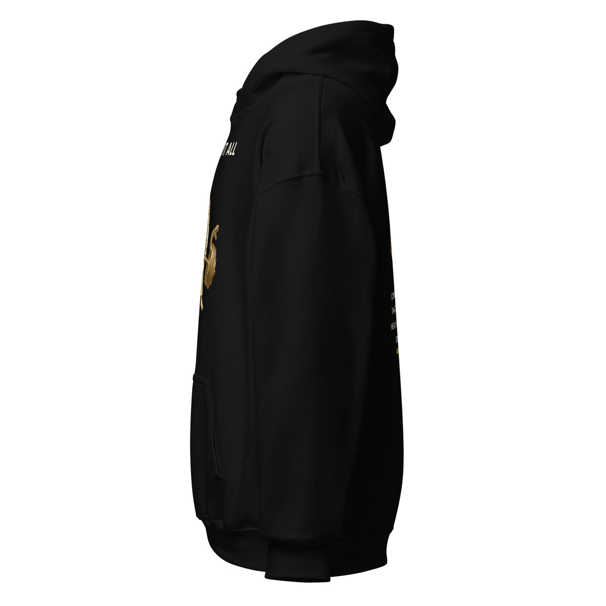 He Bore It All gold lifting hoodie by PureBred Faith, black, left side