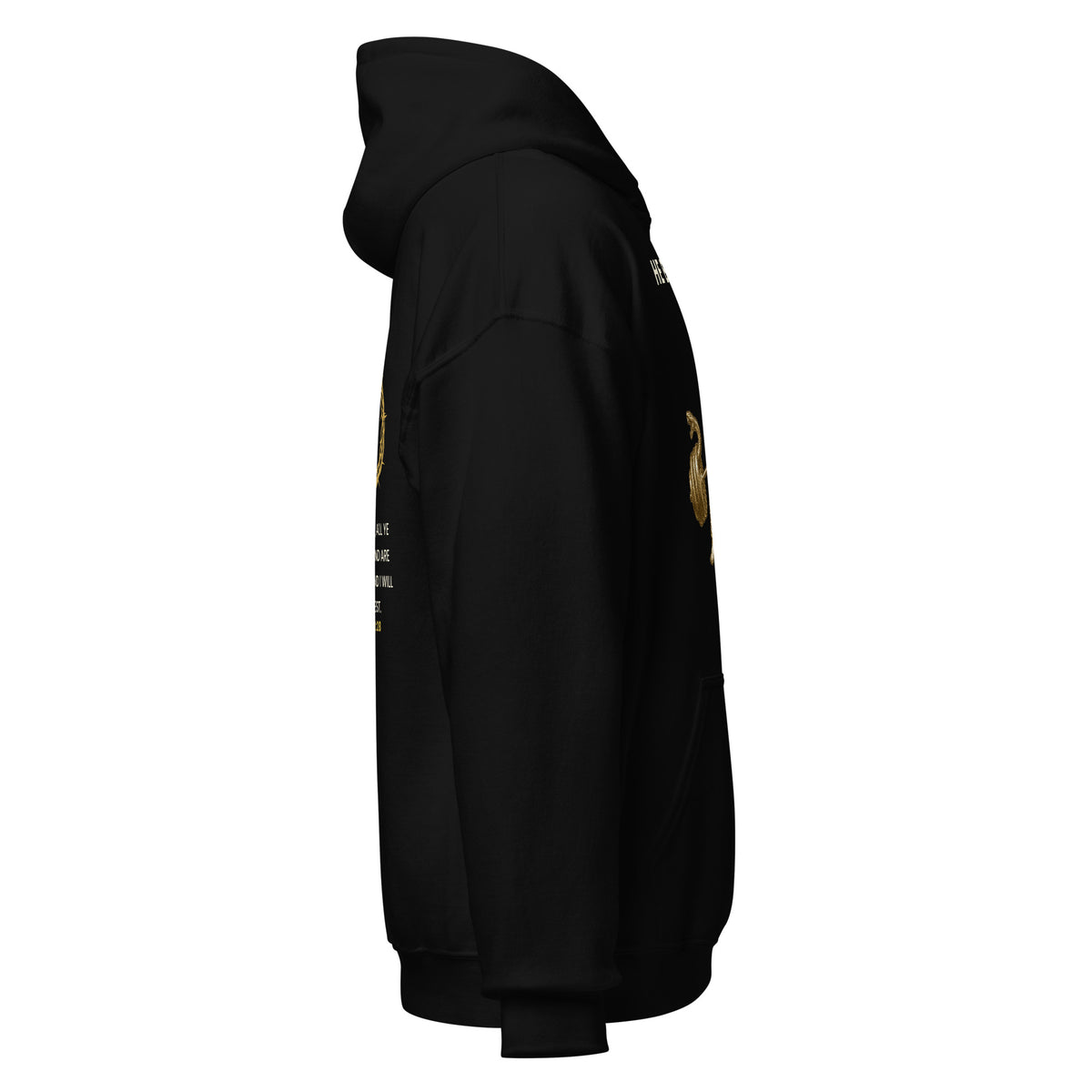 He Bore It All gold lifting hoodie by PureBred Faith, black, right side
